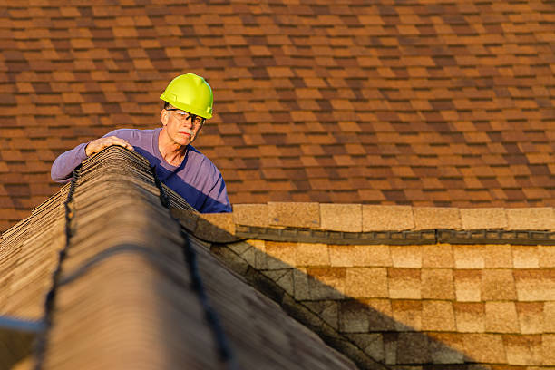 Best Roof Repair Services  in Sistersville, WV
